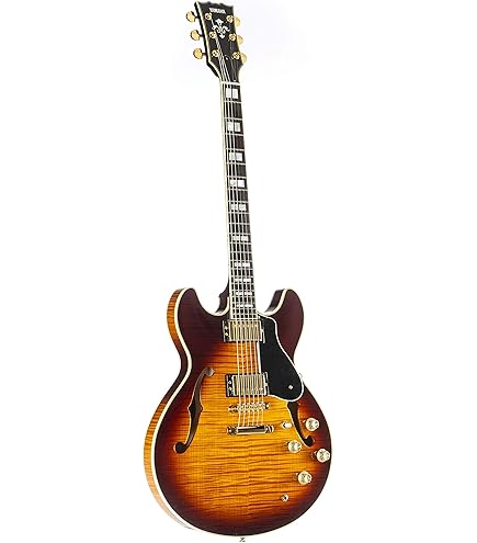 Amazon | ヤマハ エレキギター セミアコースティックギター SA-2200 VS